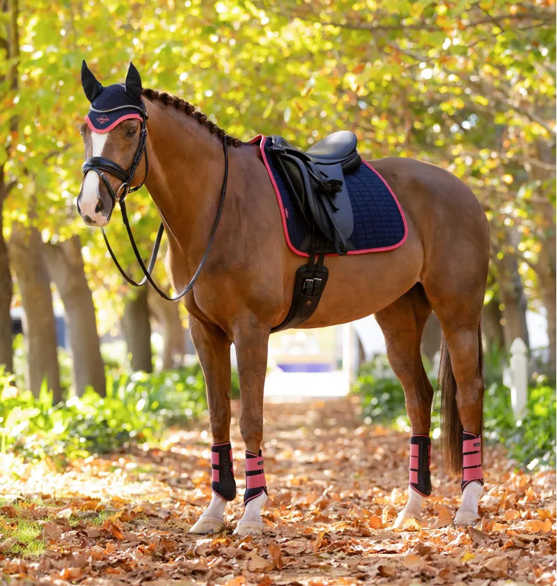 LeMieux Suede Dressage Square - Navy/Cranberry-1