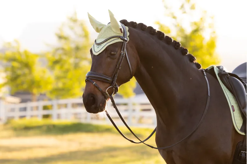 LeMieux Classic Fly Hood - Macaron-1