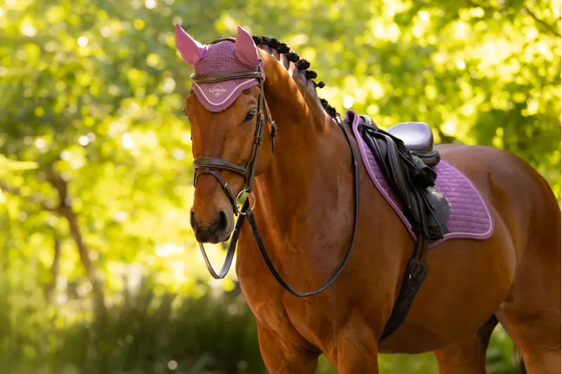 LeMieux Classic Fly Hood - Mallow-2