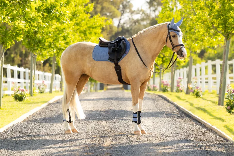 LeMieux Suede Close Contact Square - Powder Blue-3