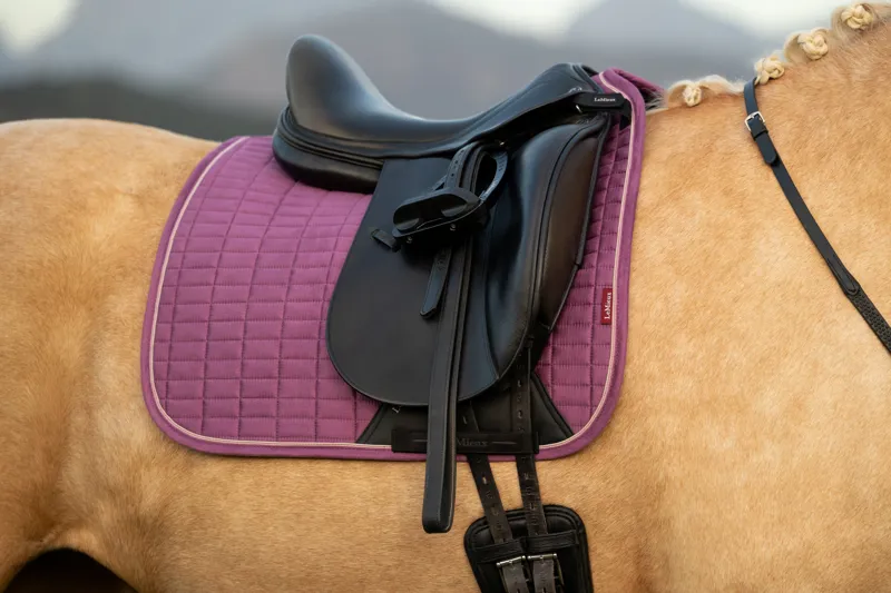 LeMieux Suede Dressage Square - Mallow-1