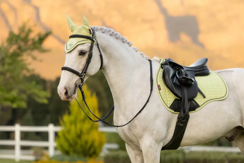 LeMieux Suede GP Square - Macaron-1