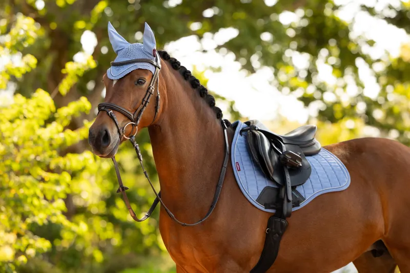 LeMieux Suede GP Square - Powder Blue-2