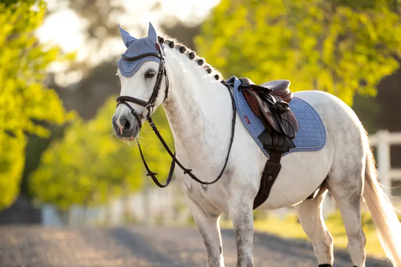 LeMieux Mini Classic Fly Hood - Powder Blue-1