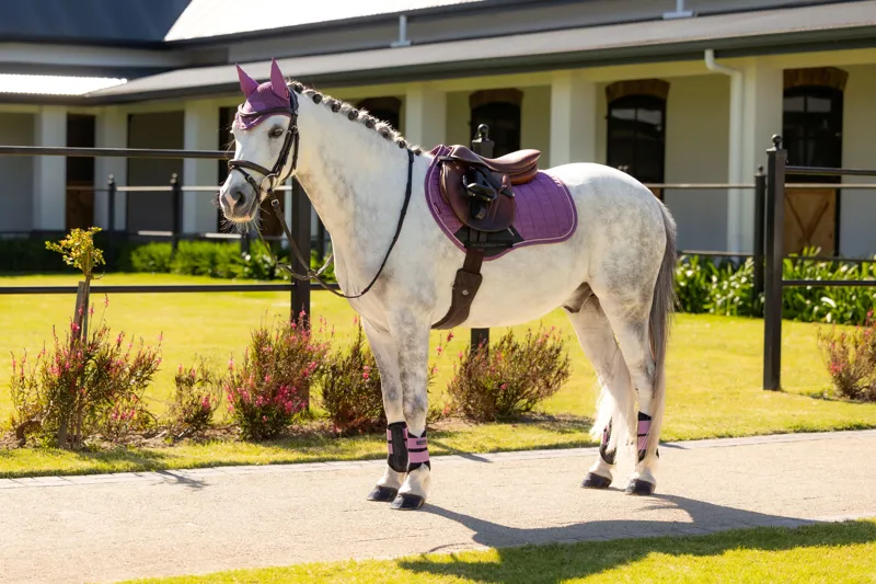 LeMieux Mini Suede Close Contact Square - Mallow-2