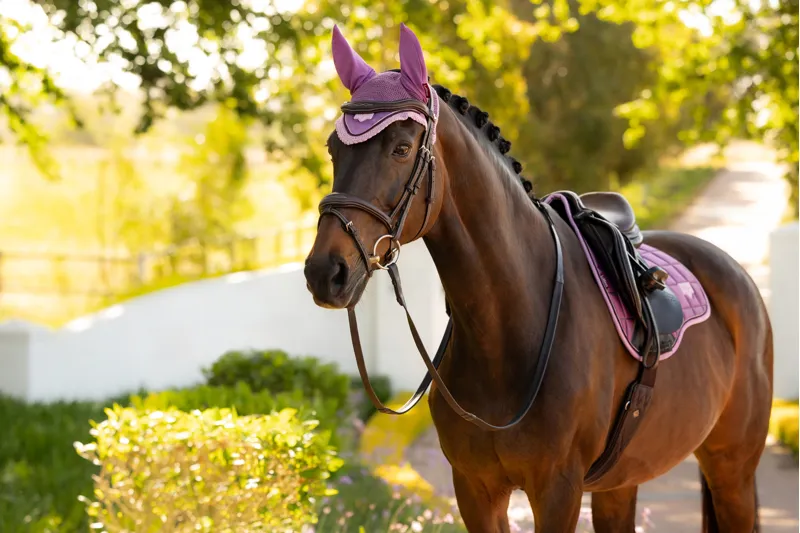 LeMieux Loire Fly Hood - Mallow-2