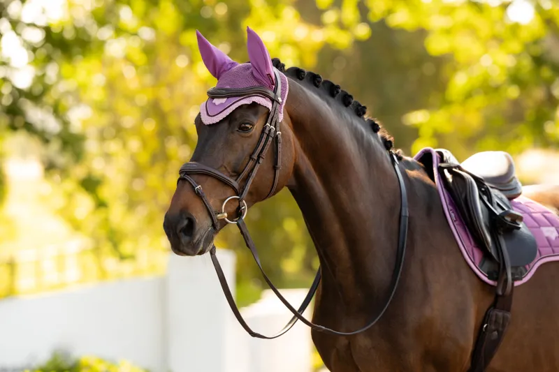 LeMieux Loire Fly Hood - Mallow-1