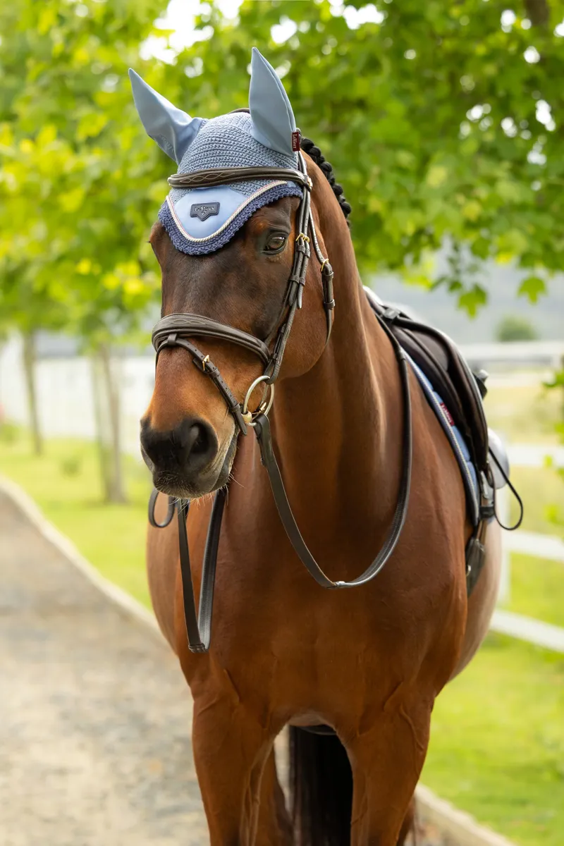 LeMieux Loire Fly Hood - Powder Blue-1