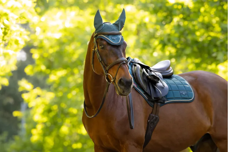 LeMieux Loire Classic Close Contact Square - Jungle-1