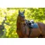 LeMieux Loire Classic Close Contact Square - Jungle