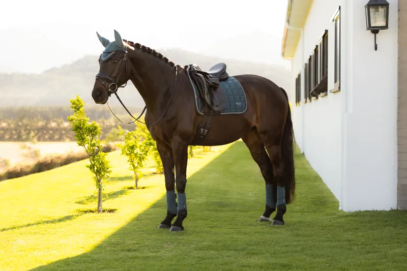 LeMieux Loire Classic Dressage Square - Jungle-2