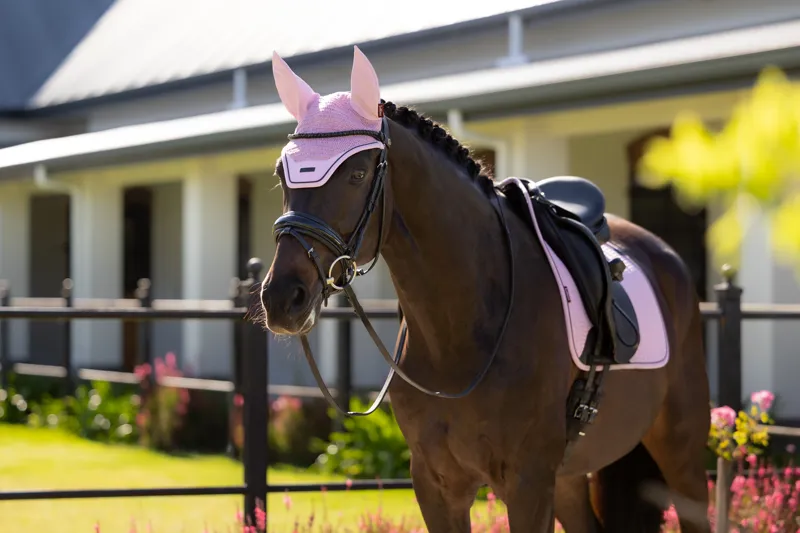 LeMieux Essence Fly Hood - Fondant-1