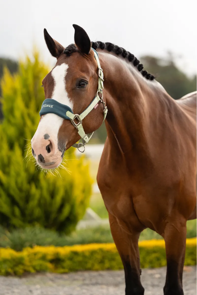 LeMieux Vogue Headcollar and Leadrope - Macaron-1