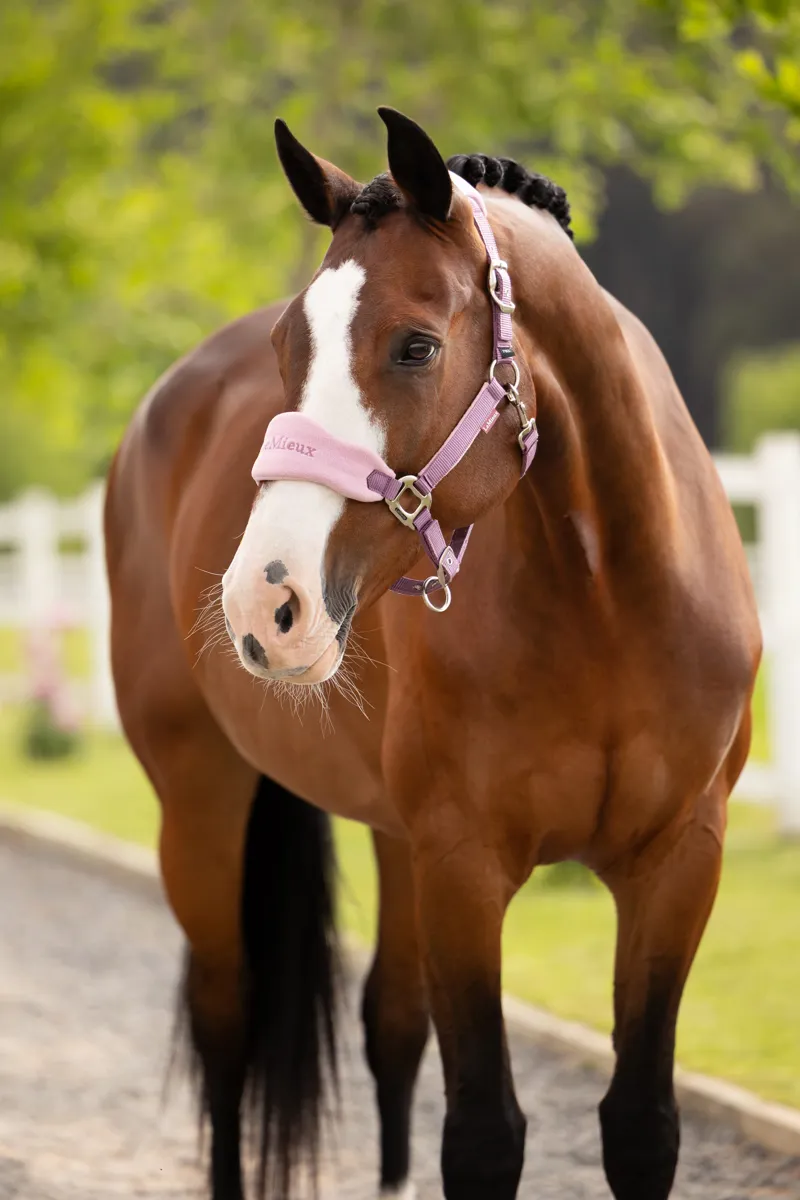 LeMieux Vogue Headcollar Leadrope - Mallow-1