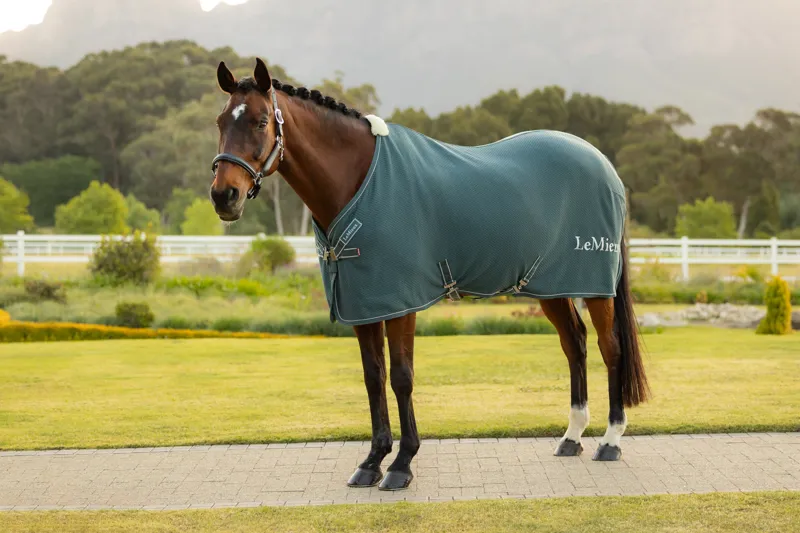 LeMieux Kudos Bamboo Cooler - Jungle