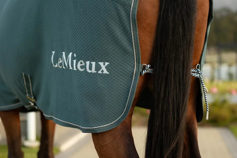 LeMieux Kudos Bamboo Cooler - Jungle-3