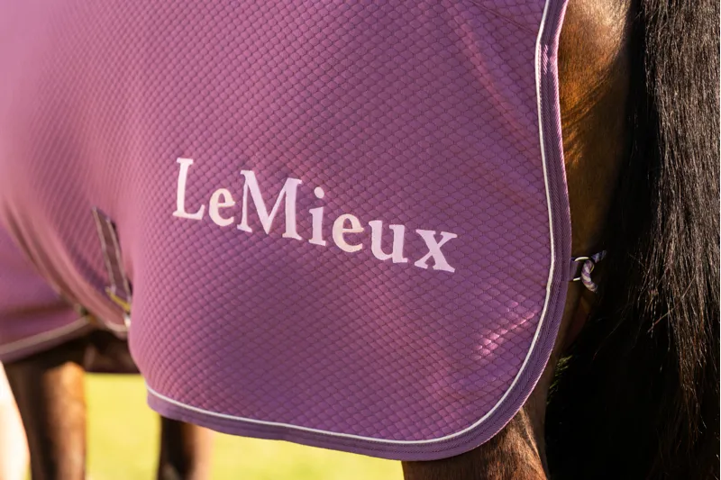 LeMieux Kudos Bamboo Cooler - Mallow-3