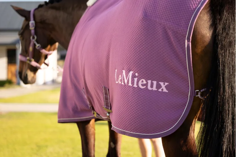 LeMieux Kudos Bamboo Cooler - Mallow-8