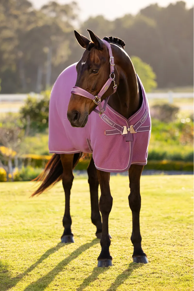 LeMieux Kudos Bamboo Cooler - Mallow-4