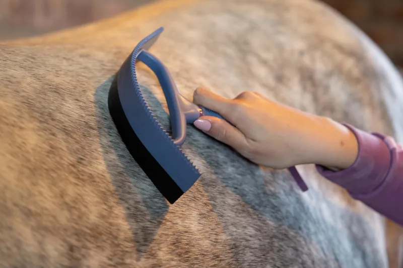 LeMieux Sweat Scraper - Powder Blue-1