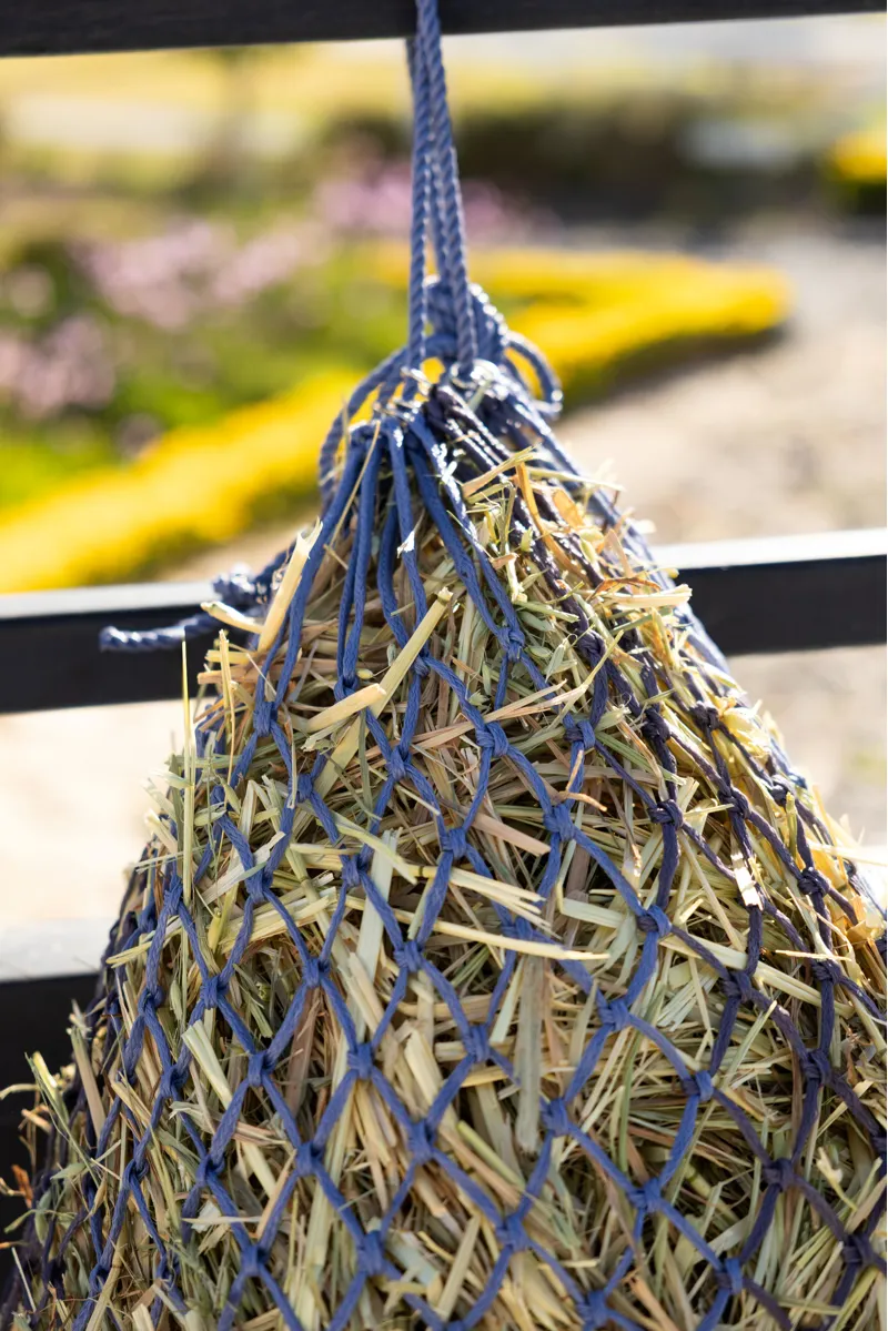 LeMieux Hippo Haynet - Powder Blue/Shadow-3