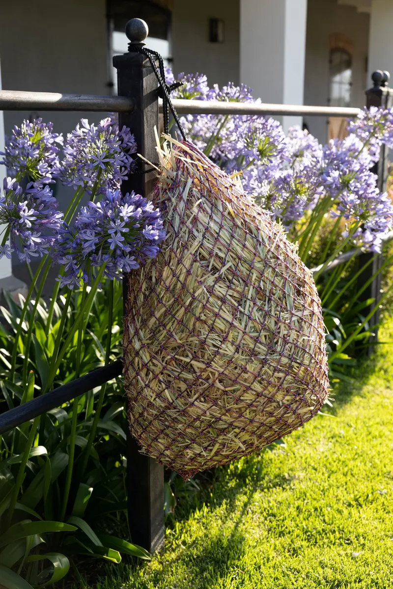 LeMieux Slow Flow Hippo Haynet - Navy/Mallow