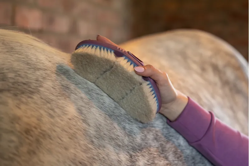 LeMieux Flexi Goat Hair Body Brush - Powder Blue-2