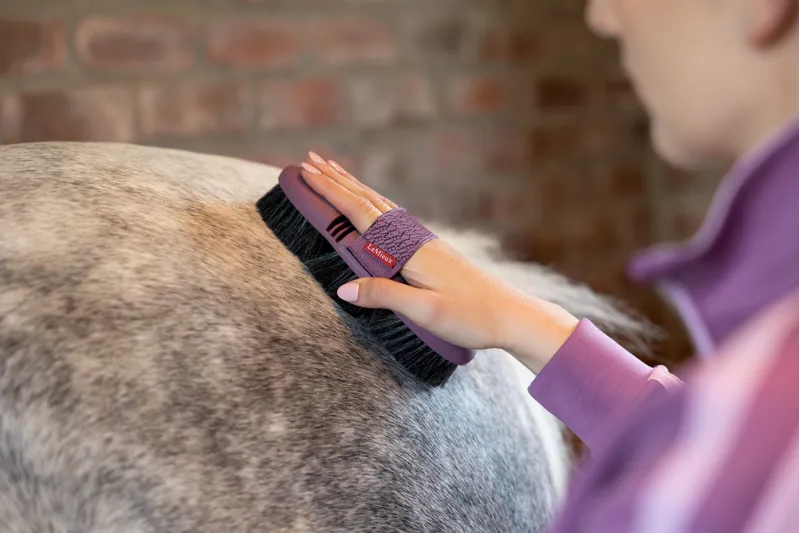 LeMieux Flexi Horse Hair Body Brush - Powder Blue-2