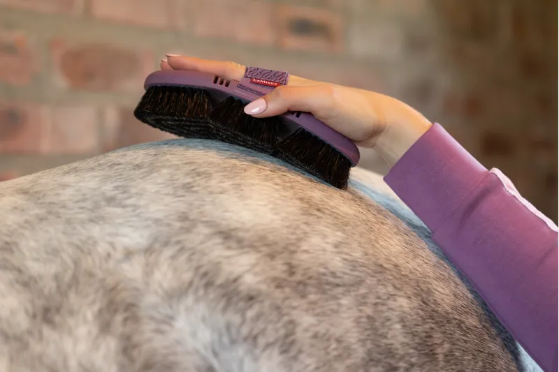 LeMieux Flexi Horse Hair Body Brush - Powder Blue-1