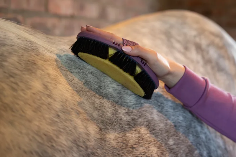 LeMieux Flexi Sponge Brush - Powder Blue-1