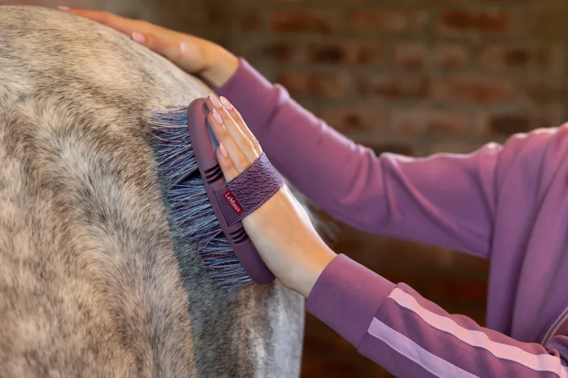 LeMieux Flexi Flicky Brush - Powder Blue-1