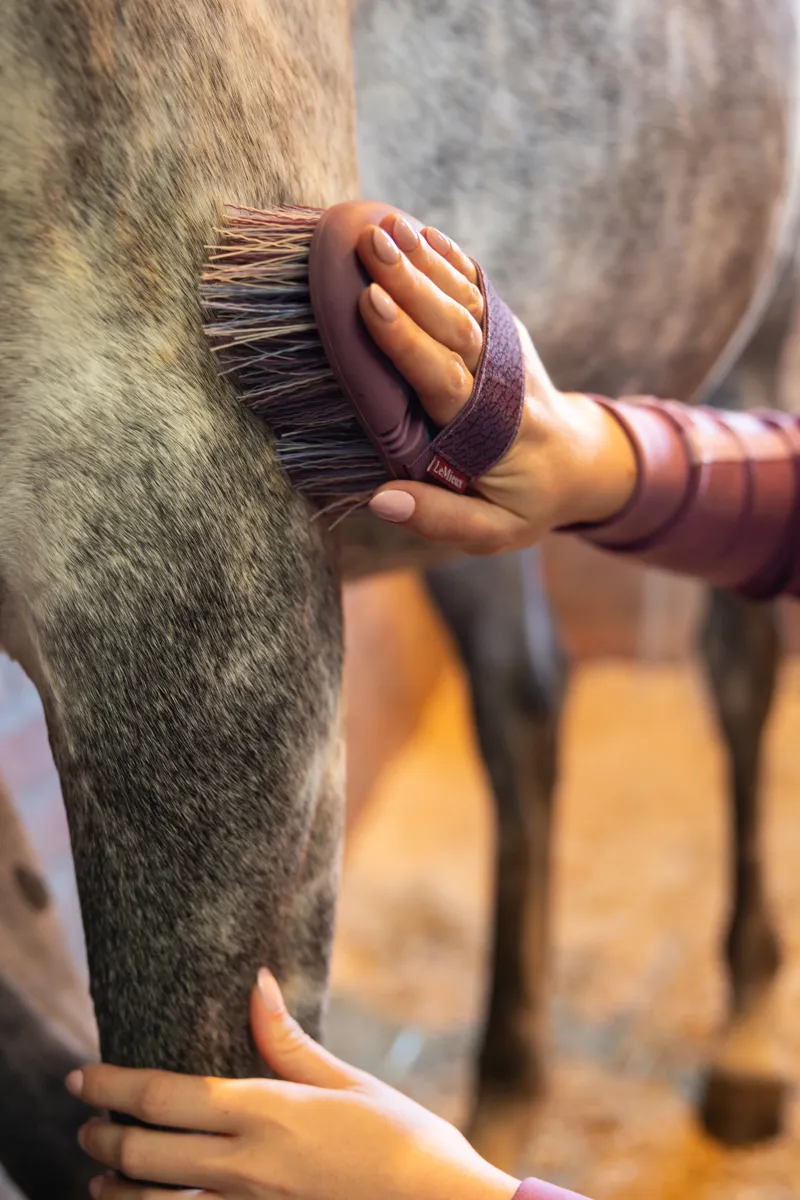 LeMieux Flexi Flicky Brush - Powder Blue-3