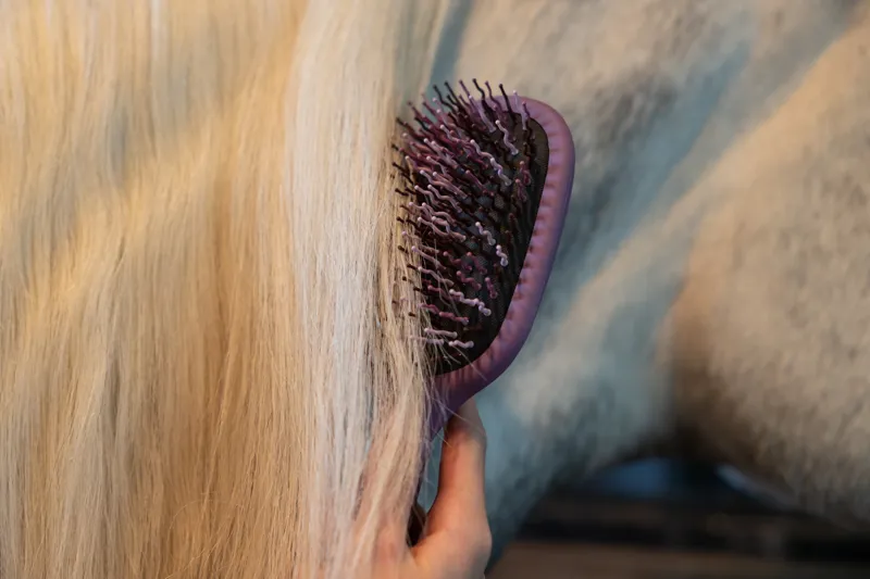 LeMieux Tangle Tidy - Mallow-3