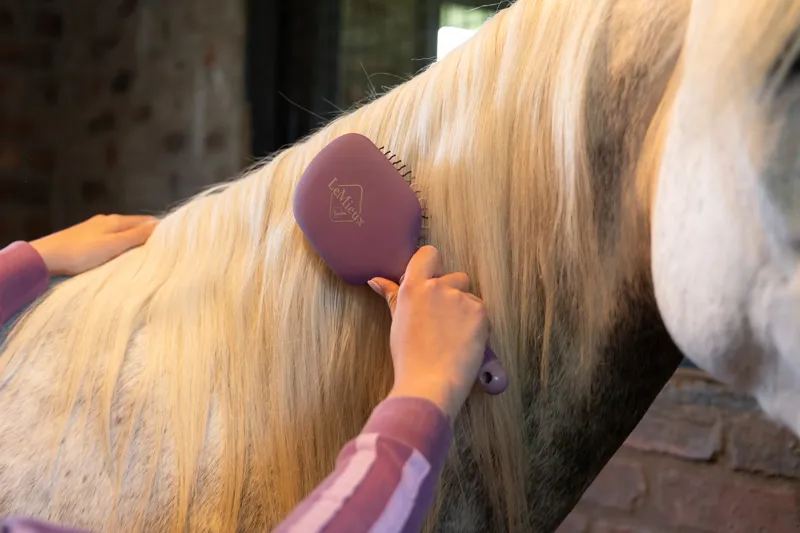 LeMieux Tangle Tidy - Mallow