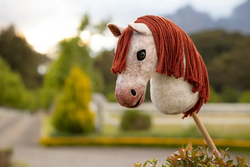 LeMieux Hobby Horse - Poppy-1