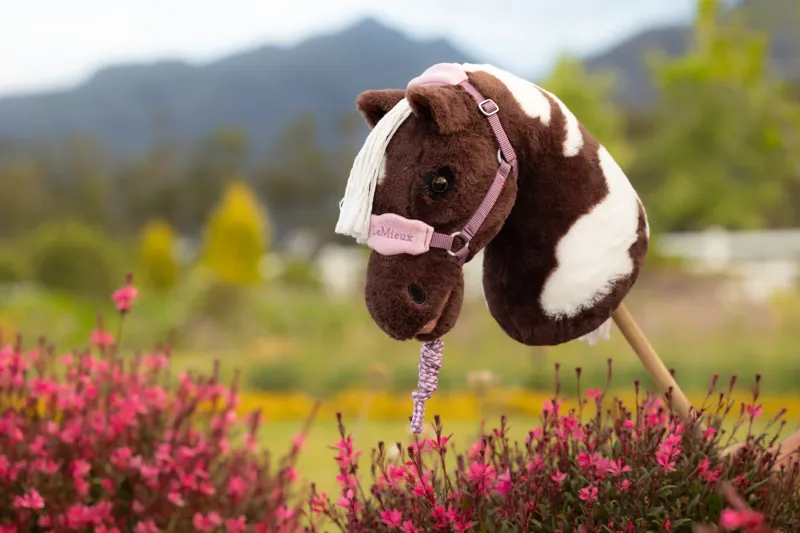 LeMieux Hobby Horse Vogue Headcollar and Leadrope - Mallow-1