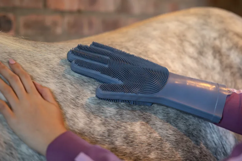 LeMieux Massage Brush - Blue-4