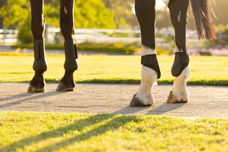 LeMieux Arika Fetlock Boot - Black-3