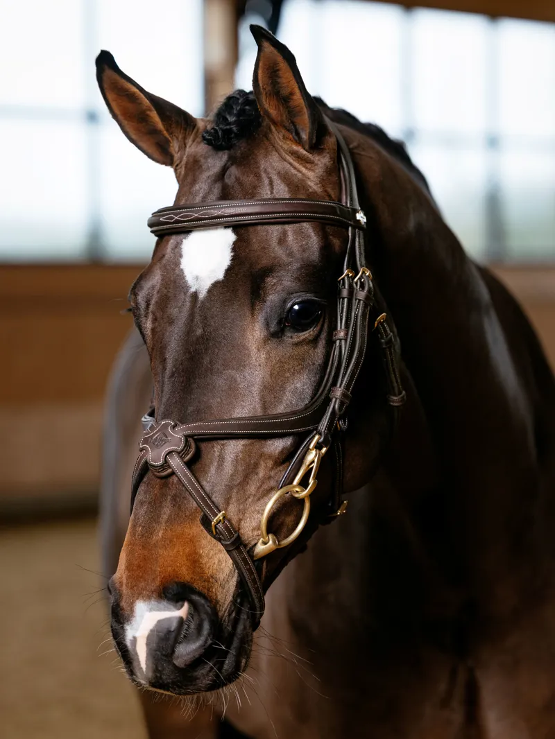 LeMieux Kudos Grackle Work Bridle - Brown