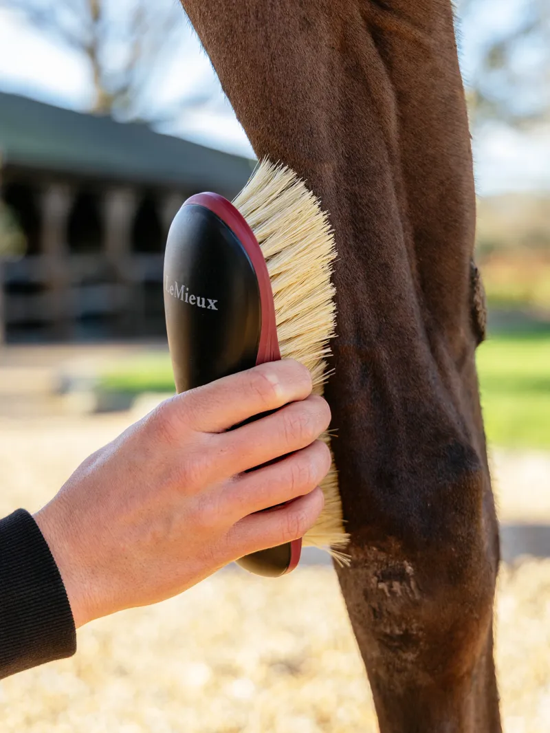 LeMieux Dandy Brush - Black-2
