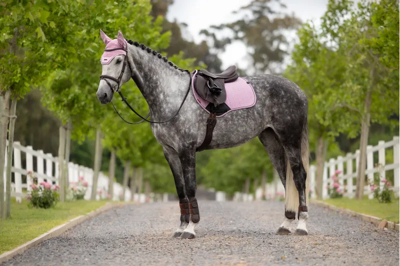 LeMieux Essence Close Contact Square - Fondant-2