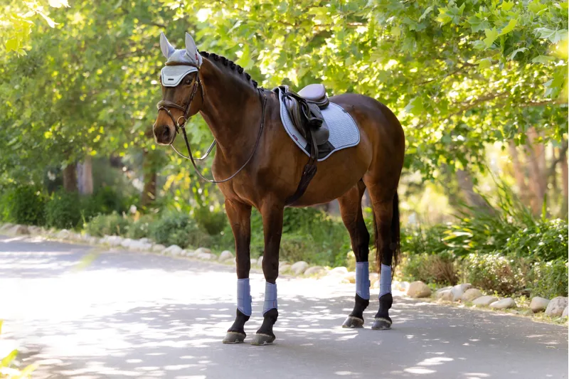 LeMieux Essence Close Contact Square - Powder Blue-2