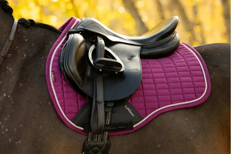 LeMieux Suede GP Square - Blackberry-1
