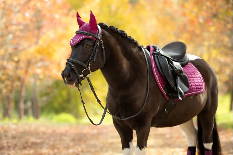 LeMieux Classic Fly Hood - Blackberry-1
