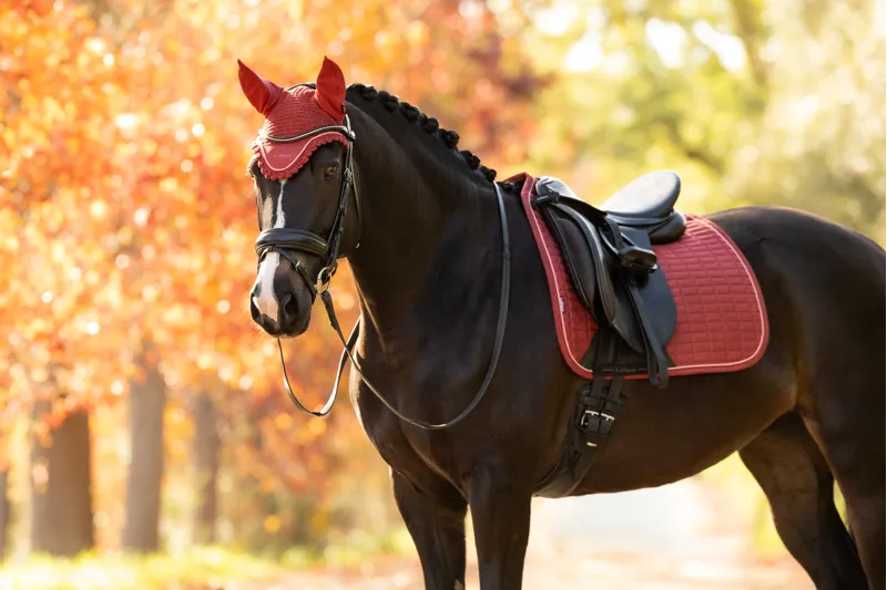 LeMieux Classic Fly Hood - Russet-1
