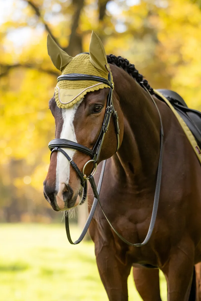 LeMieux Classic Fly Hood - Gooseberry-1