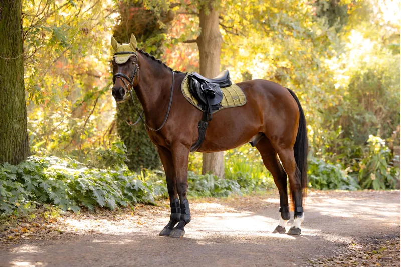 LeMieux Loire Classic Close Contact Square - Gooseberry-1