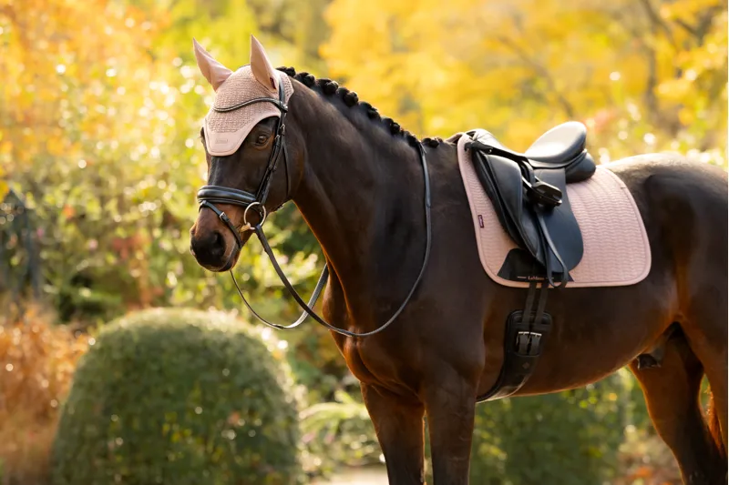 LeMieux Essence Fly Hood - Wild Rose-1