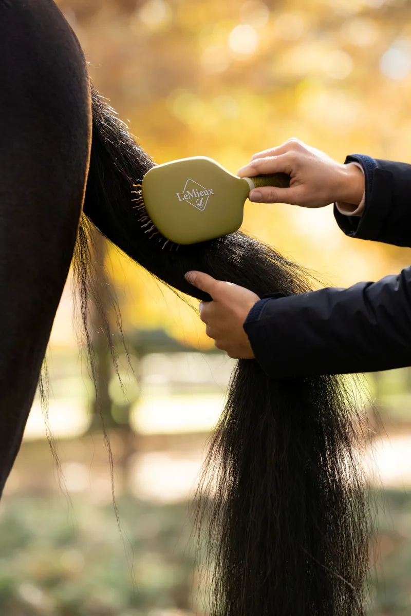 LeMieux Tangle Tidy - Gooseberry-2