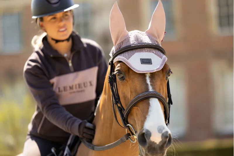 LeMieux Heritage Fly Hood - Wild Rose-1